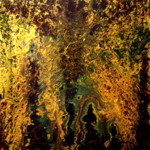 GOLD  smalto su tela 30x30
