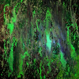 GREEN FOREST tecnica smalto su tela 80x80